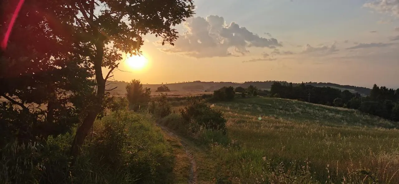 Cerlino'S B&B Reggio Emilia